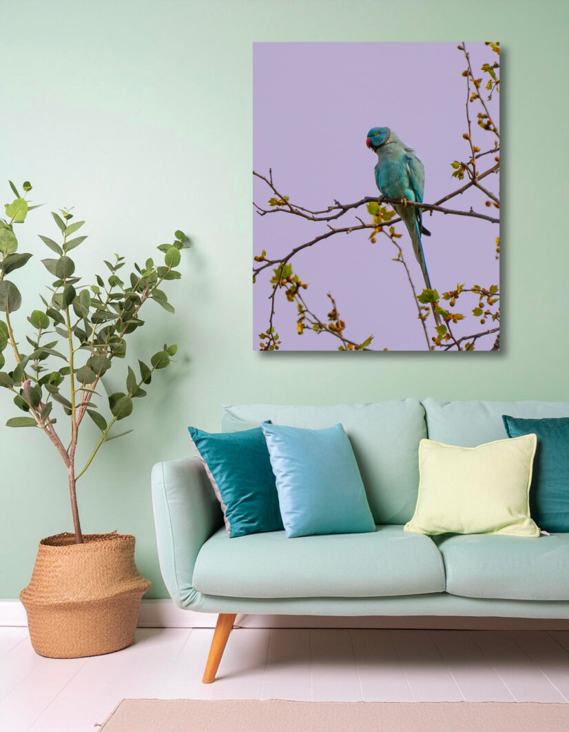 Tirage d'art "Plumage enchanté" – Image 2