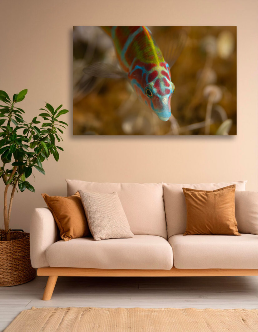 Tirage d'art "Intimité sous-marine" – Image 2
