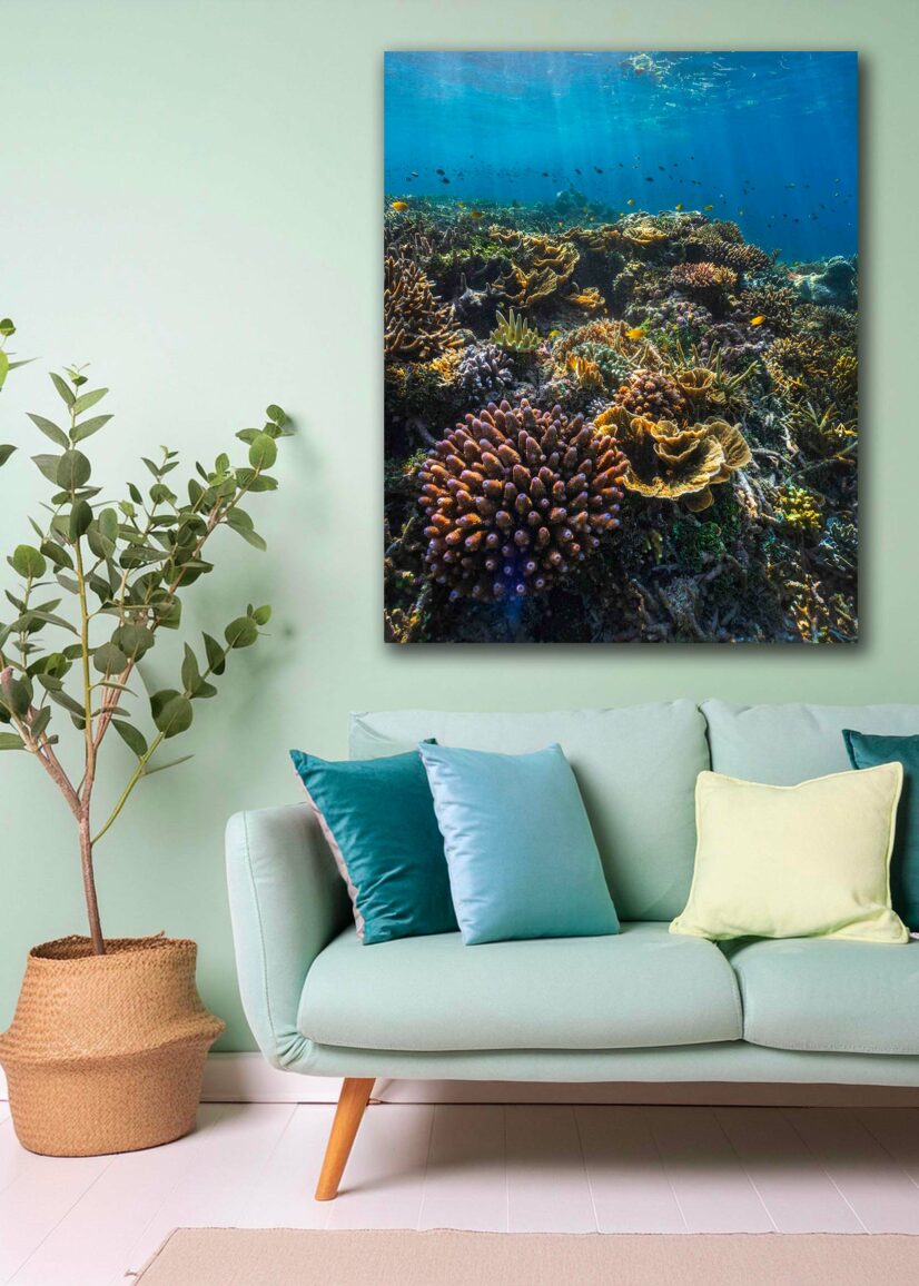 Tirage d'art "Jardin de corail" – Image 2