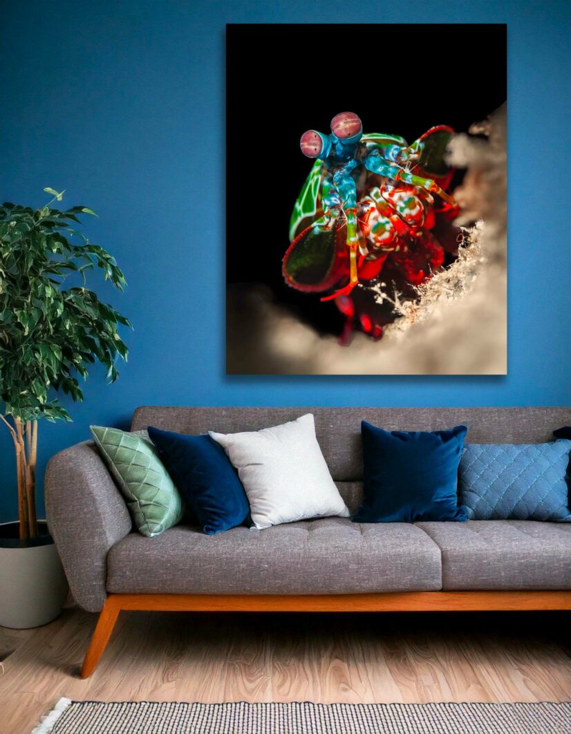 Tirage d'art "Wall-E" – Image 2