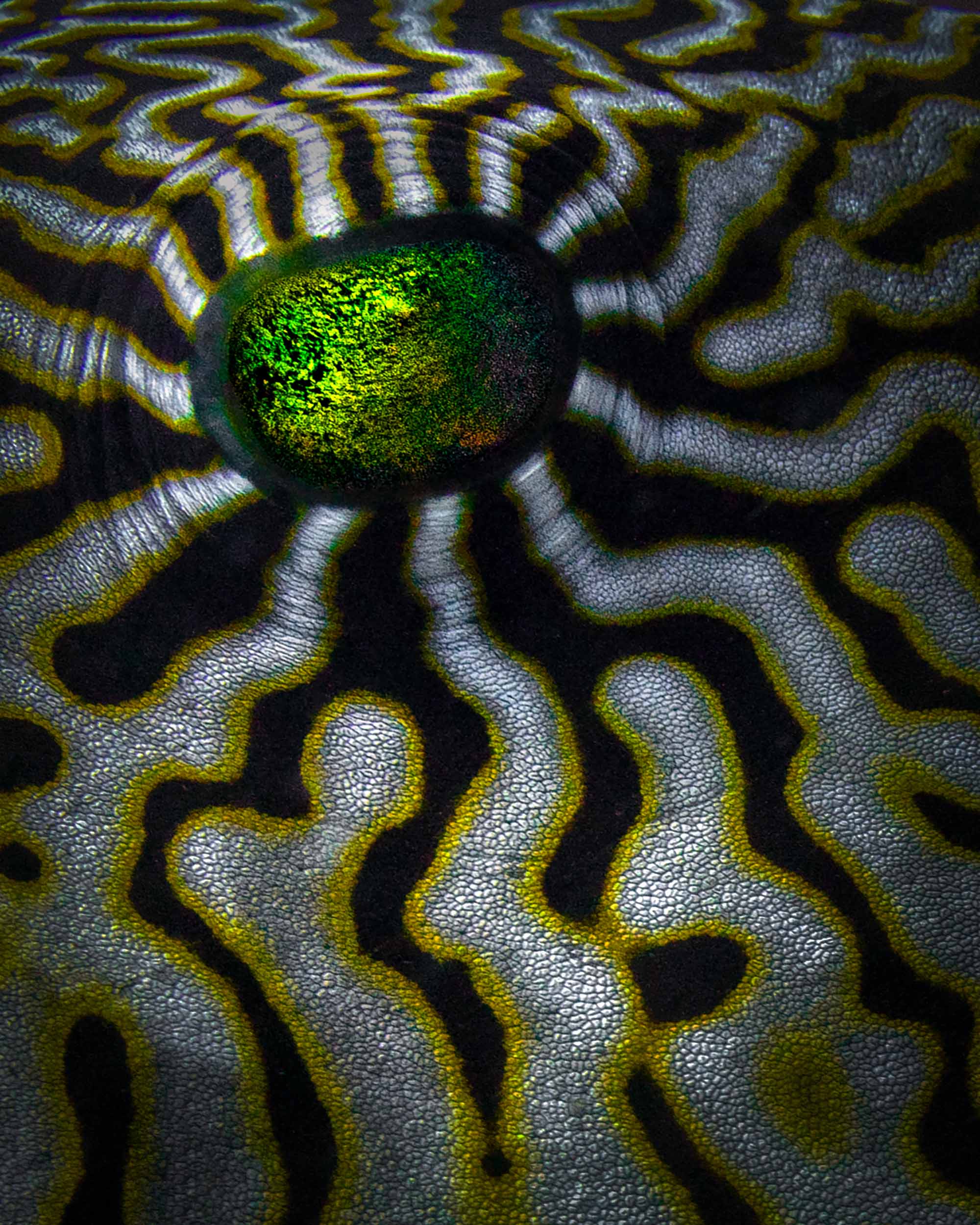 Tirage d'art "Trompe-l’œil"