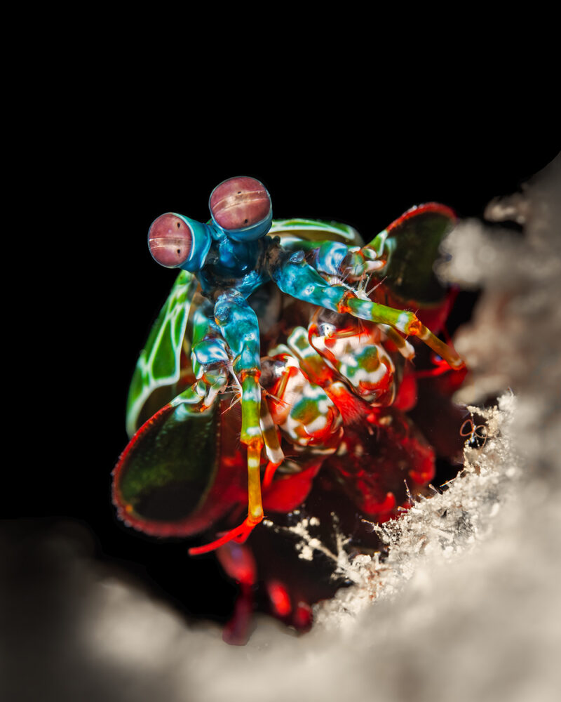 Tirage d'art "Wall-E"